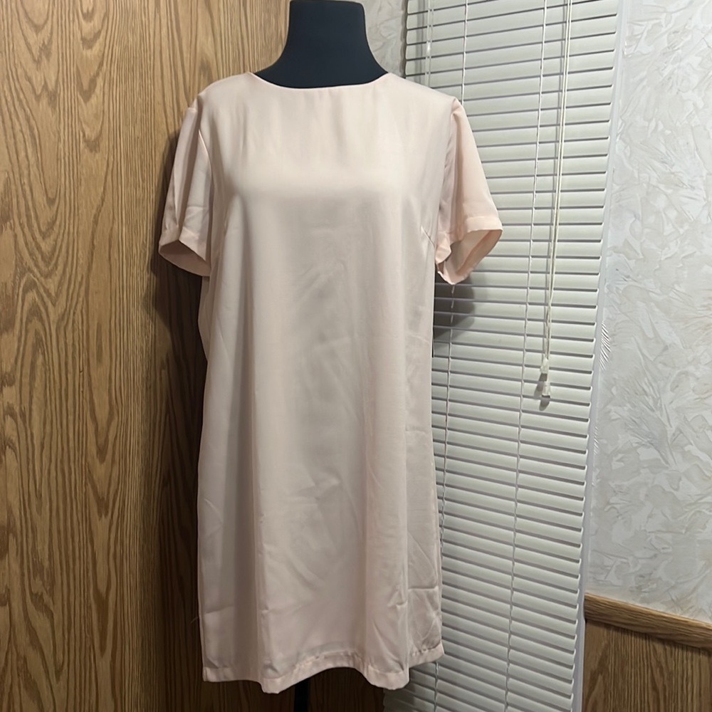 Lulus Pink chiffon shift dress NWT